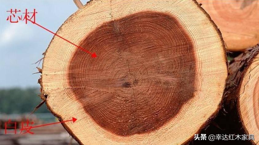 带你了解更多红木知识,红木术语大全集