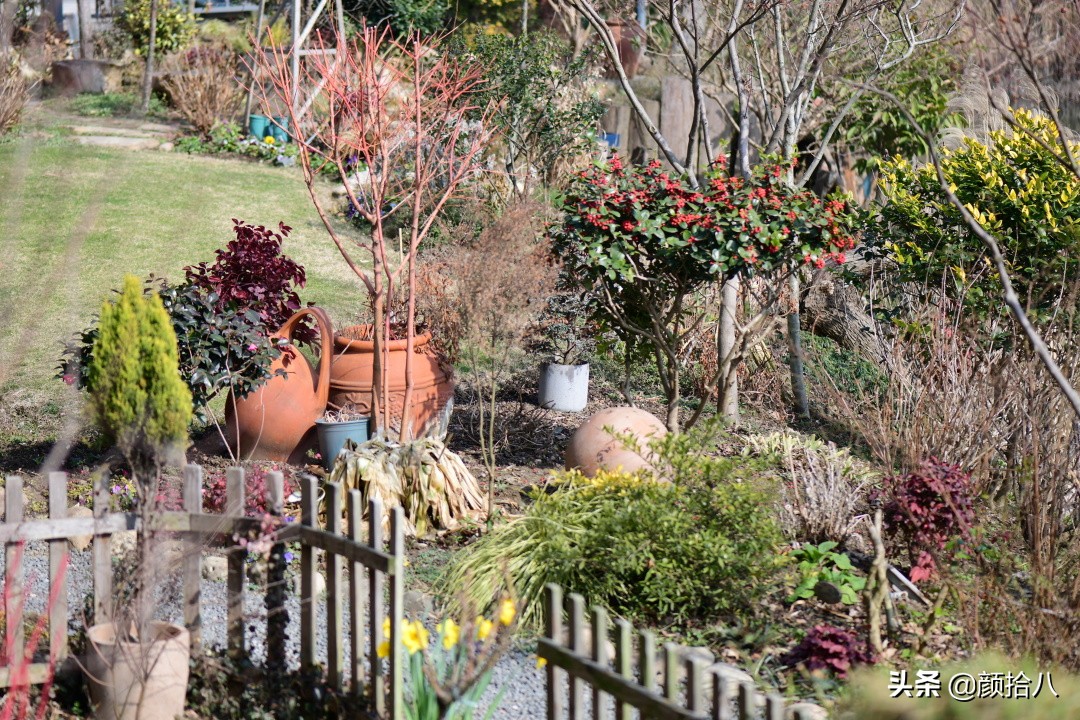 就趁现在，花园最忙碌的季节|园丁