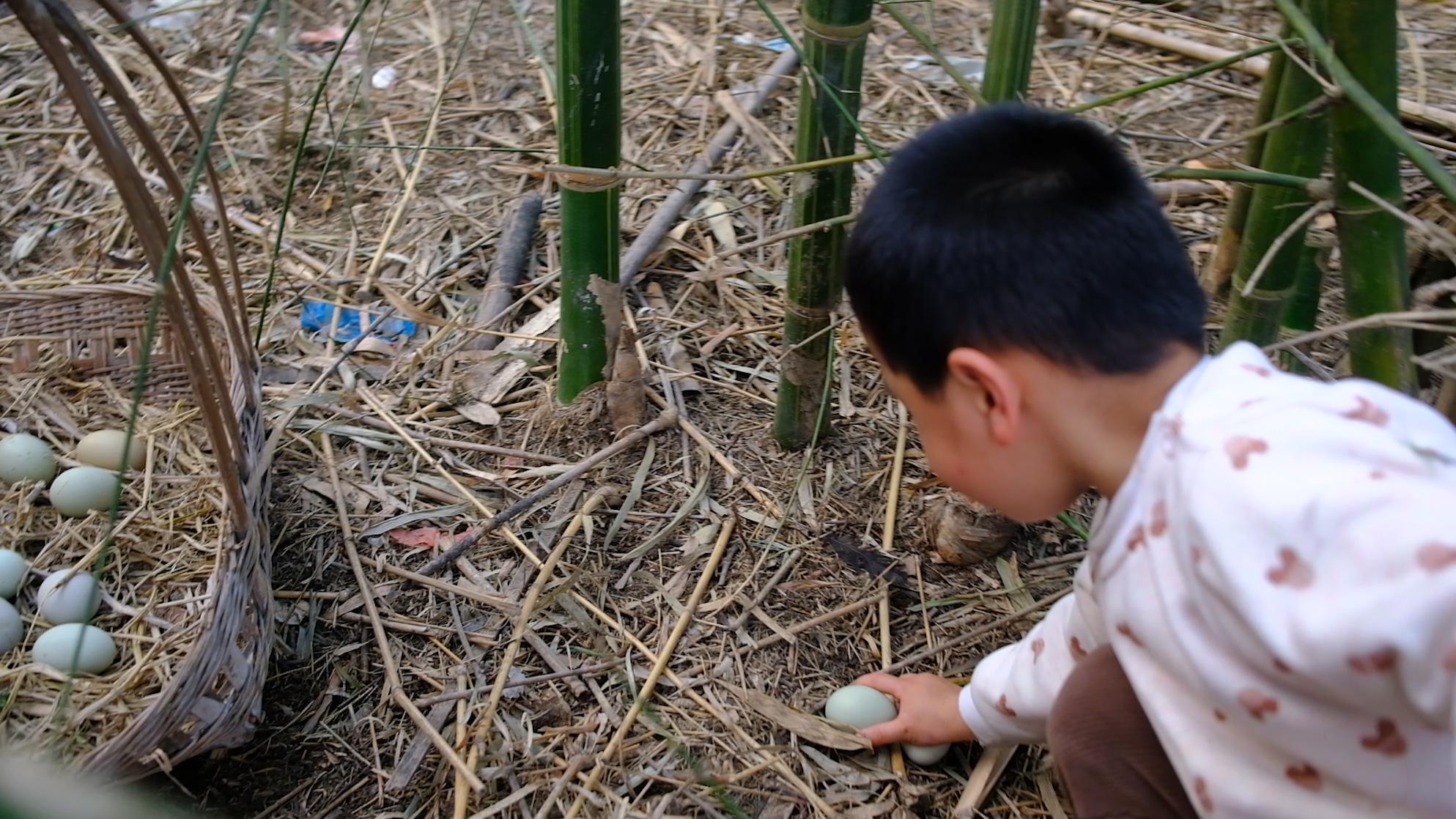 卖完公鸡留母鸡生蛋,不按斤按盒卖70-100块,居然收入千万