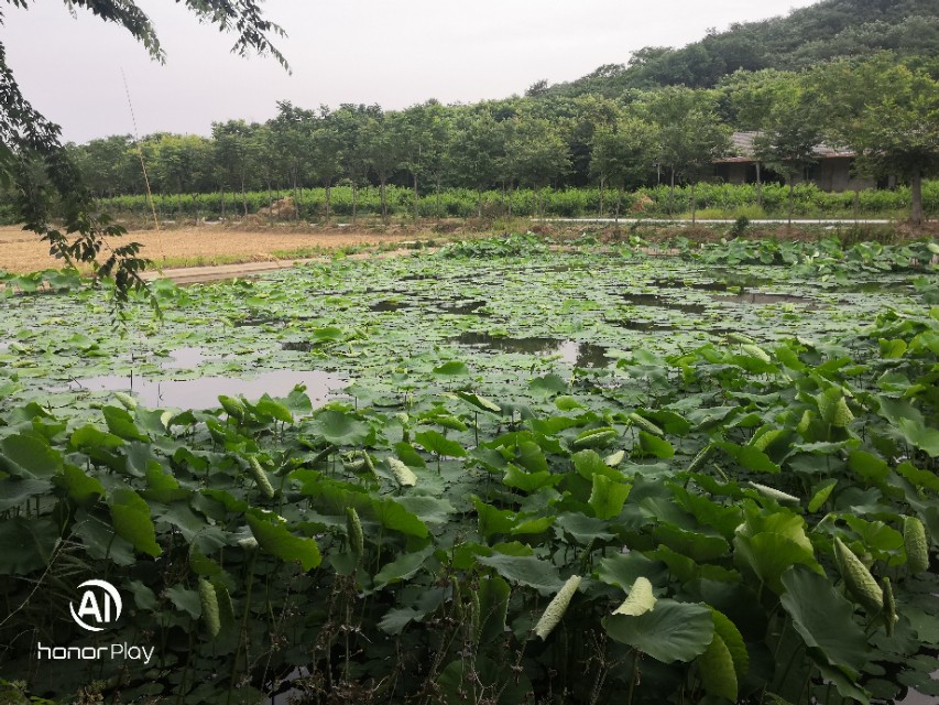 致永远回不去的童年六一儿童节,六一特辑致我们终将逝去的童年