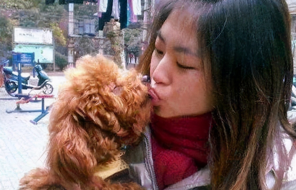 泰迪犬一直舔自己的脚是什么情况,泰迪犬喜欢舔人的手是怎么回事