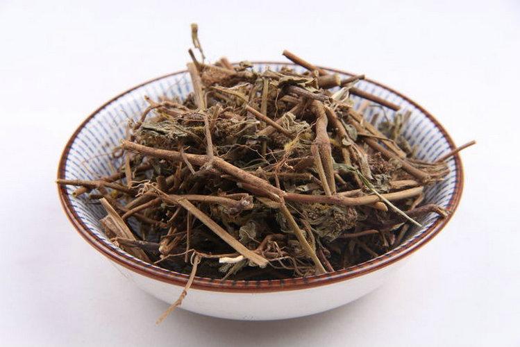 飞扬草的种类,飞扬草也叫什么名字