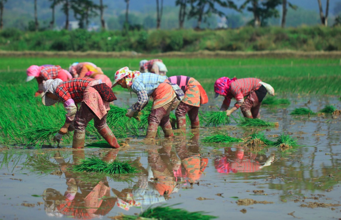 范成大诗十首经典诗词,范成大十首著名诗词