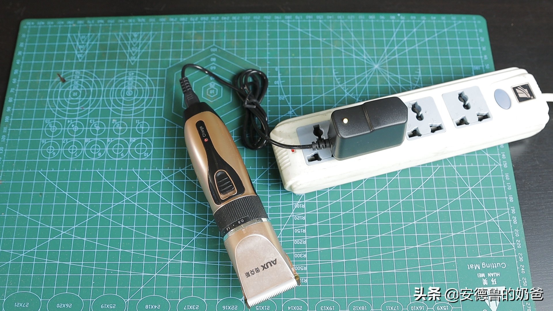 春日vlog完整版,春日vlog竖版