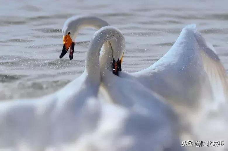 这个最适合冬天来的北方小城，光是海鲜就能让你吃回票价