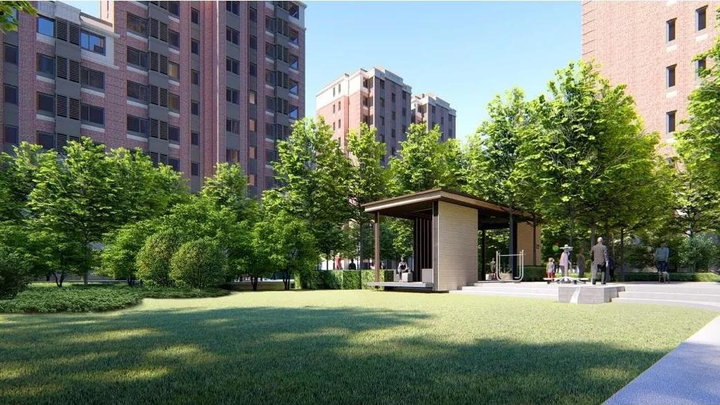 天津泰达足球最强阵容,天津足球老白队