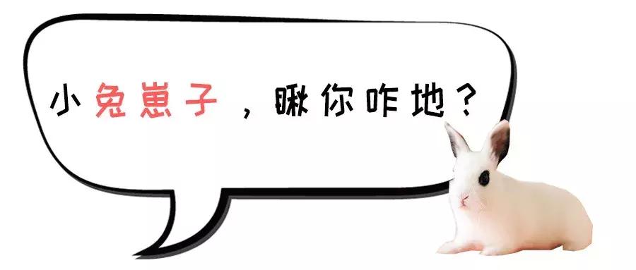 各地骂人的方言,各地骂人方言大集合