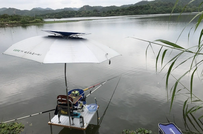 气温高草鱼钓多深,十几度气温钓草鱼技巧方法