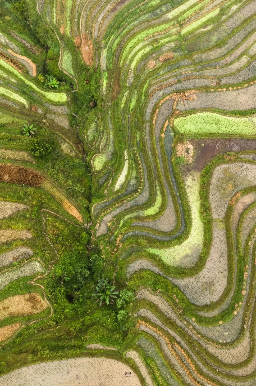 农造田野丨总有一根神经通往乡野|月亮山百里梯田