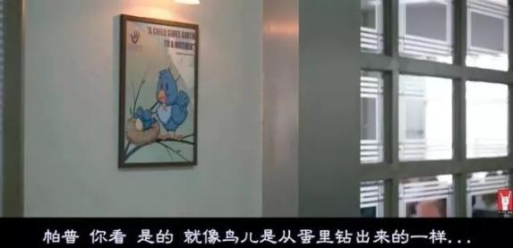 真实的性教育,如何让性教育不再难以启齿