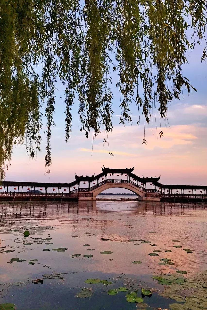 江苏的古镇有哪些值得去看看,江苏最值得打卡的十大古镇