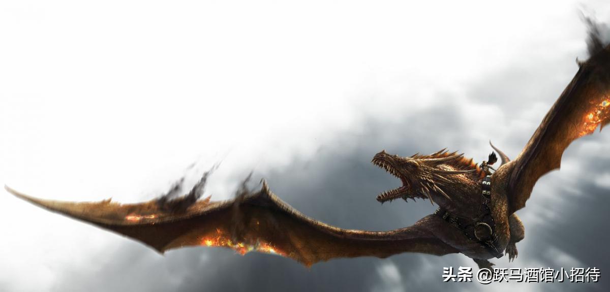 冰与火之歌坎尼会战,冰与火之歌各个家族的分布地