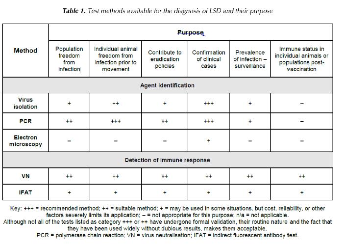 牛结节疹最快治疗方法,牛结节病的传染途径