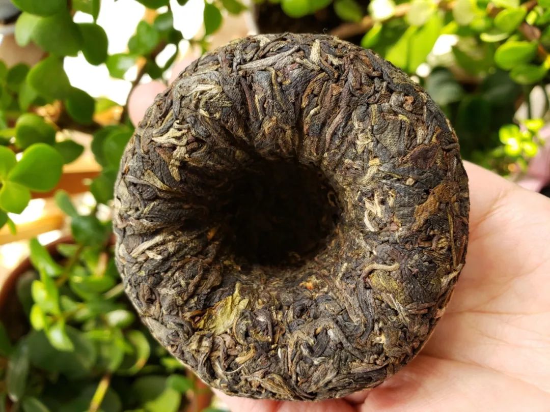 普洱沱茶勐海茶厂,下关沱茶甲字沱是普洱吗