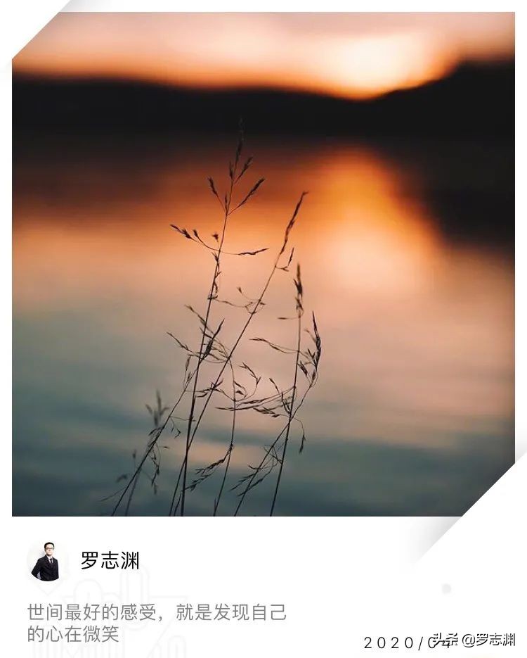 世间最好的感悟就是发现心在微笑,世间最好的感受就是发现心在微笑