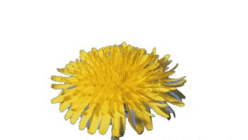 最科学的擦屁股方法,学会擦屁股的方法