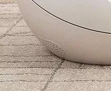 小佩猫窝事件,小佩闷死猫事件