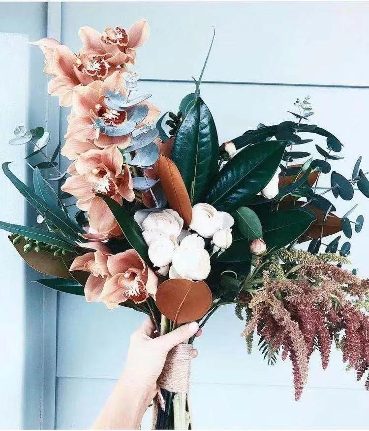 买花的套路和策略,买花的三个陷阱