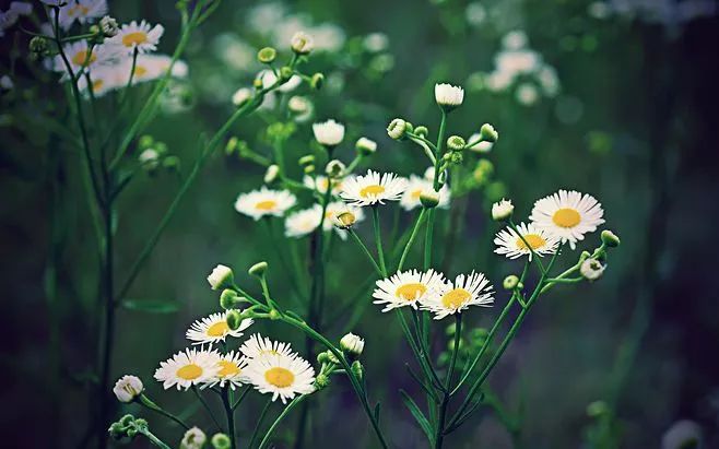 婚姻什么阶段适合要孩子,结婚有了孩子后如何增进夫妻感情