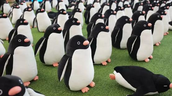 dior999520礼盒,520雅诗兰黛口红礼盒