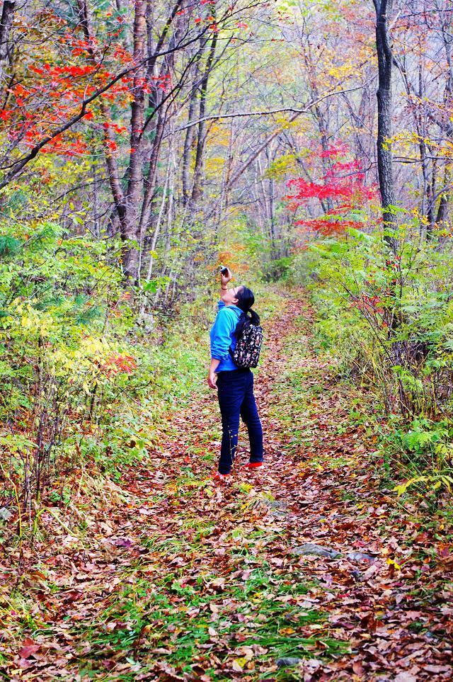 十一沿途风景,十一去红叶谷的景致