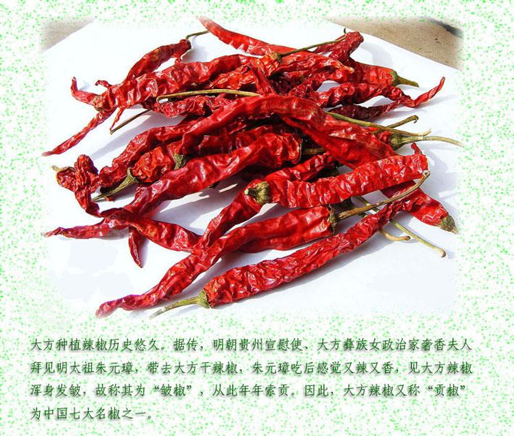 毕节市大方县旅游攻略一日游路线,毕节地区旅游攻略大全最新