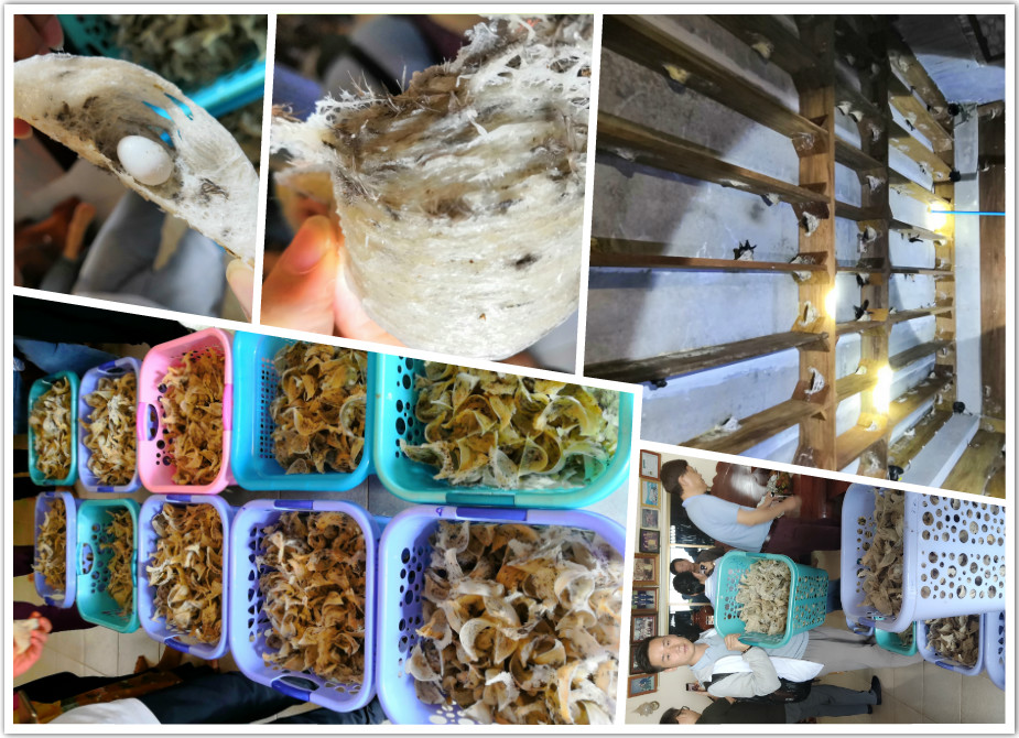 老婆怀孕我去照顾她家,老婆怀孕了我在外面打工