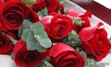 七夕礼物送什么好,七夕礼物送什么推荐