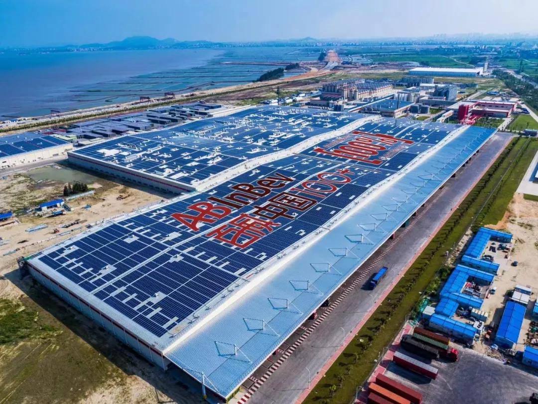 来真的？并购之王啤酒巨头转身治水发电