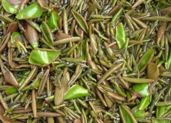 五星级大厨教你做不腥清蒸鲈鱼,大厨教你做最好吃的鲈鱼