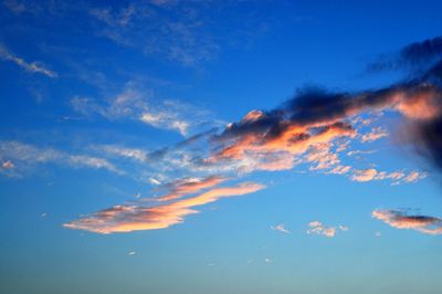 庄子永远也叫不醒一个装睡的人,读庄子五句话让你活得越来越清醒