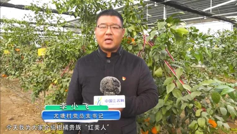 “县长、书记代言”模式火了，江苏新晋这样一批“带货达人”