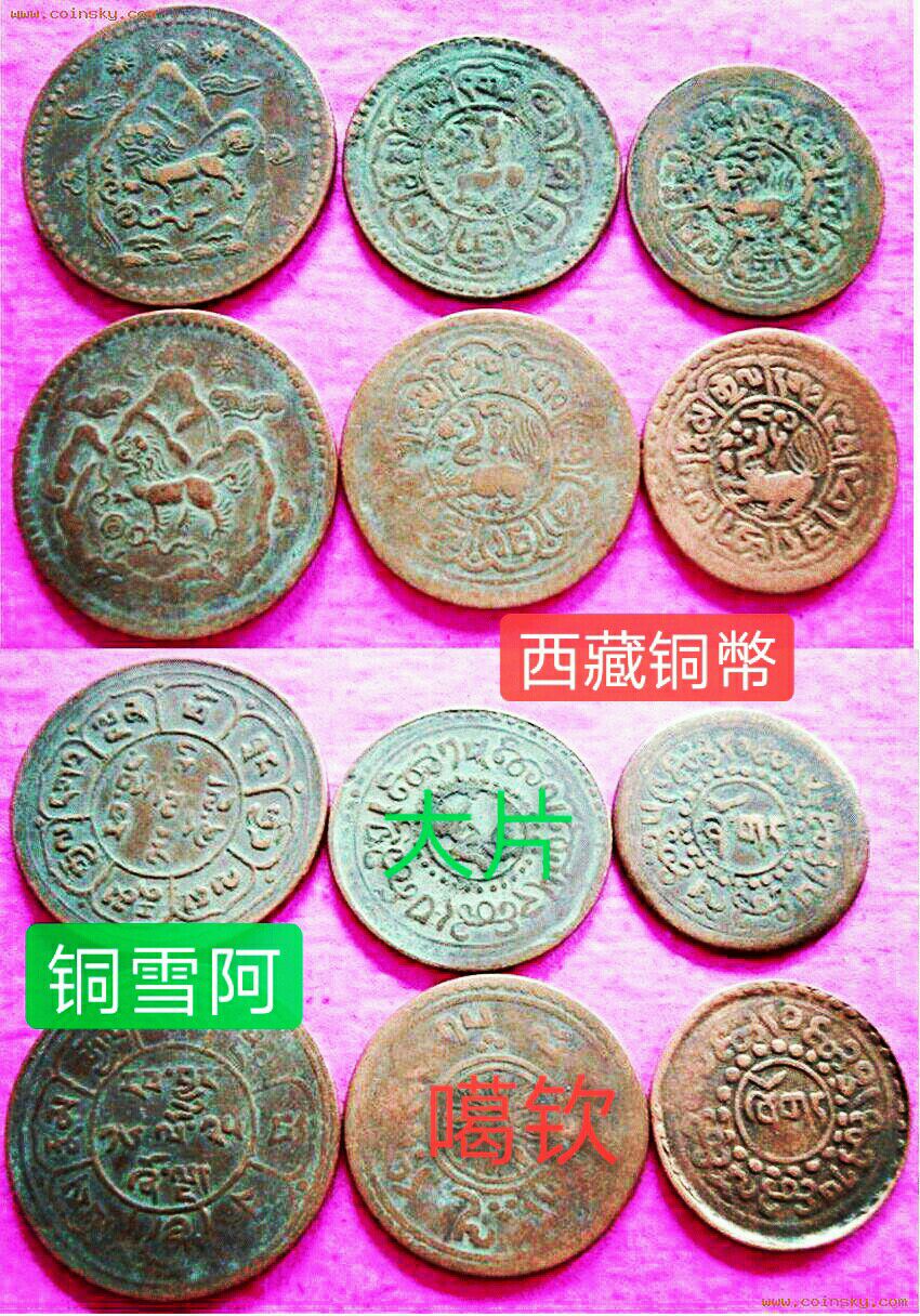 【原创】当年万金购七头藏獒!藏友说是狮子图案？真是一头雾水!