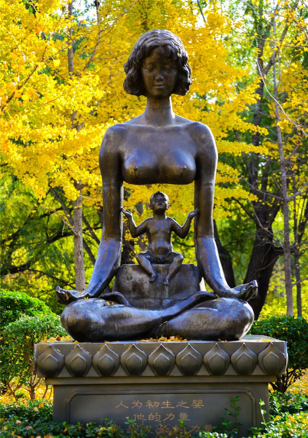 夏日好去处济南森林公园,济南森林公园雪景