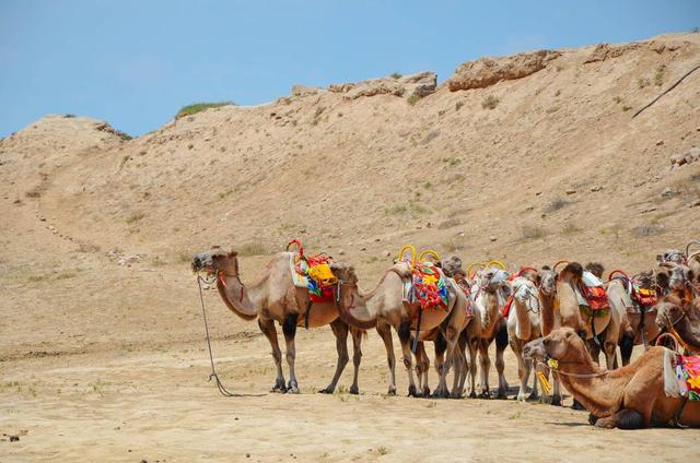 银川必去的五大景点水洞沟,最近银川水洞沟旅游视频