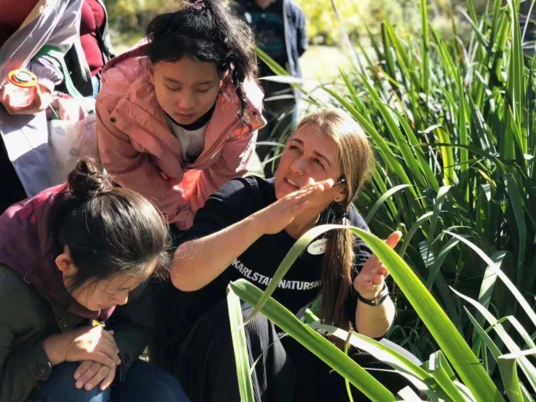 错过第二期北纬45°自然教育国际工作坊不要紧，满满的干货在这里