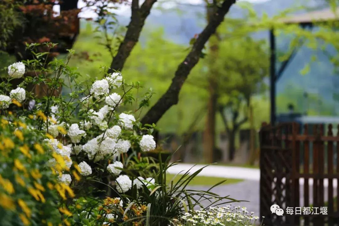 青城山十大顶级神仙民宿,藏在青城山里民宿