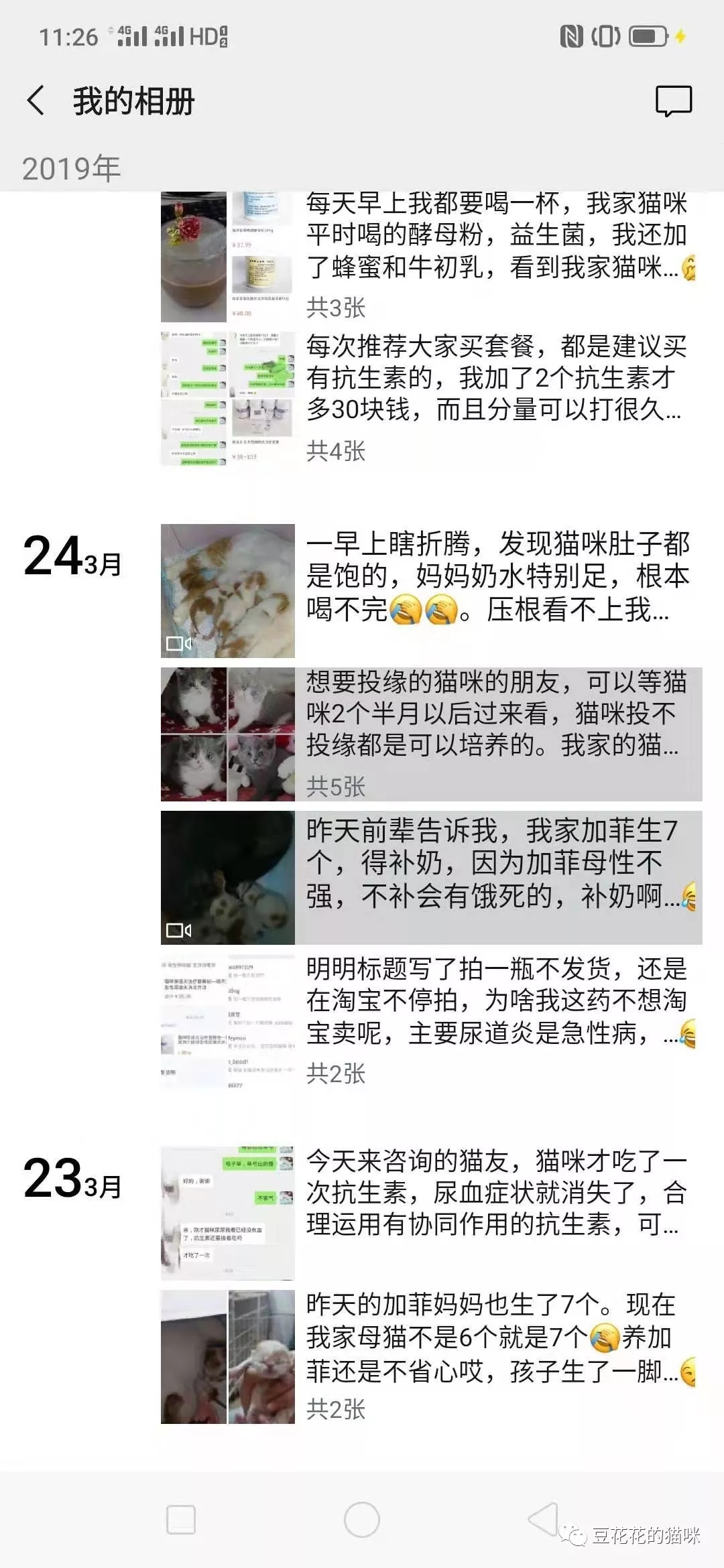 母猫不出来最快有效的方法,母猫不生如何催产