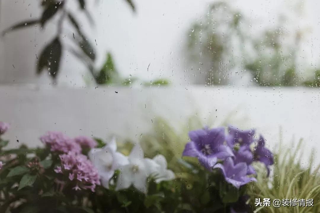 她买下32㎡上海老旧学区房,为女儿打造小桃园还有20㎡舒适大庭院