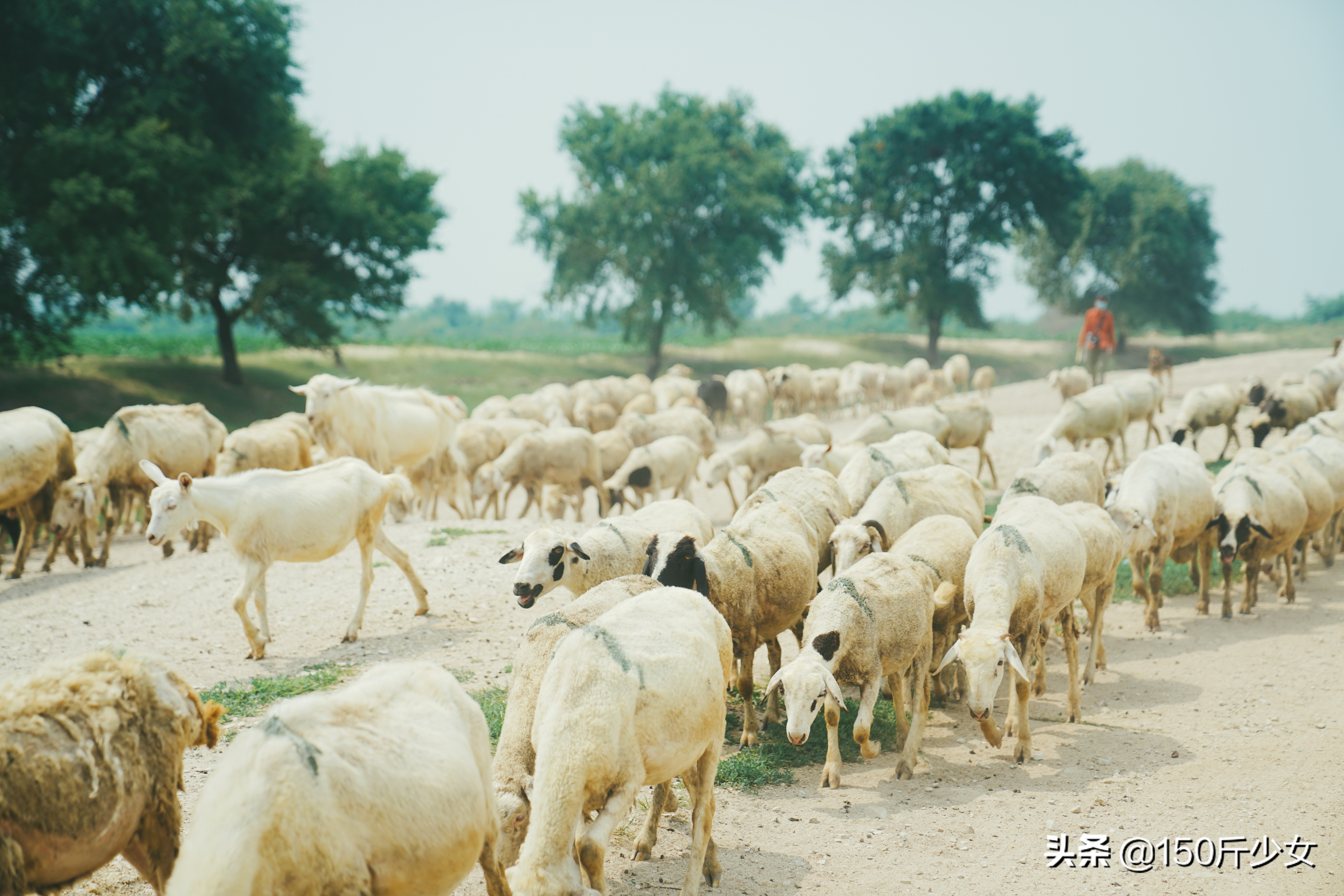 随心所欲玩转吉林！6天5晚人均1000自驾游，吉林现在也很美