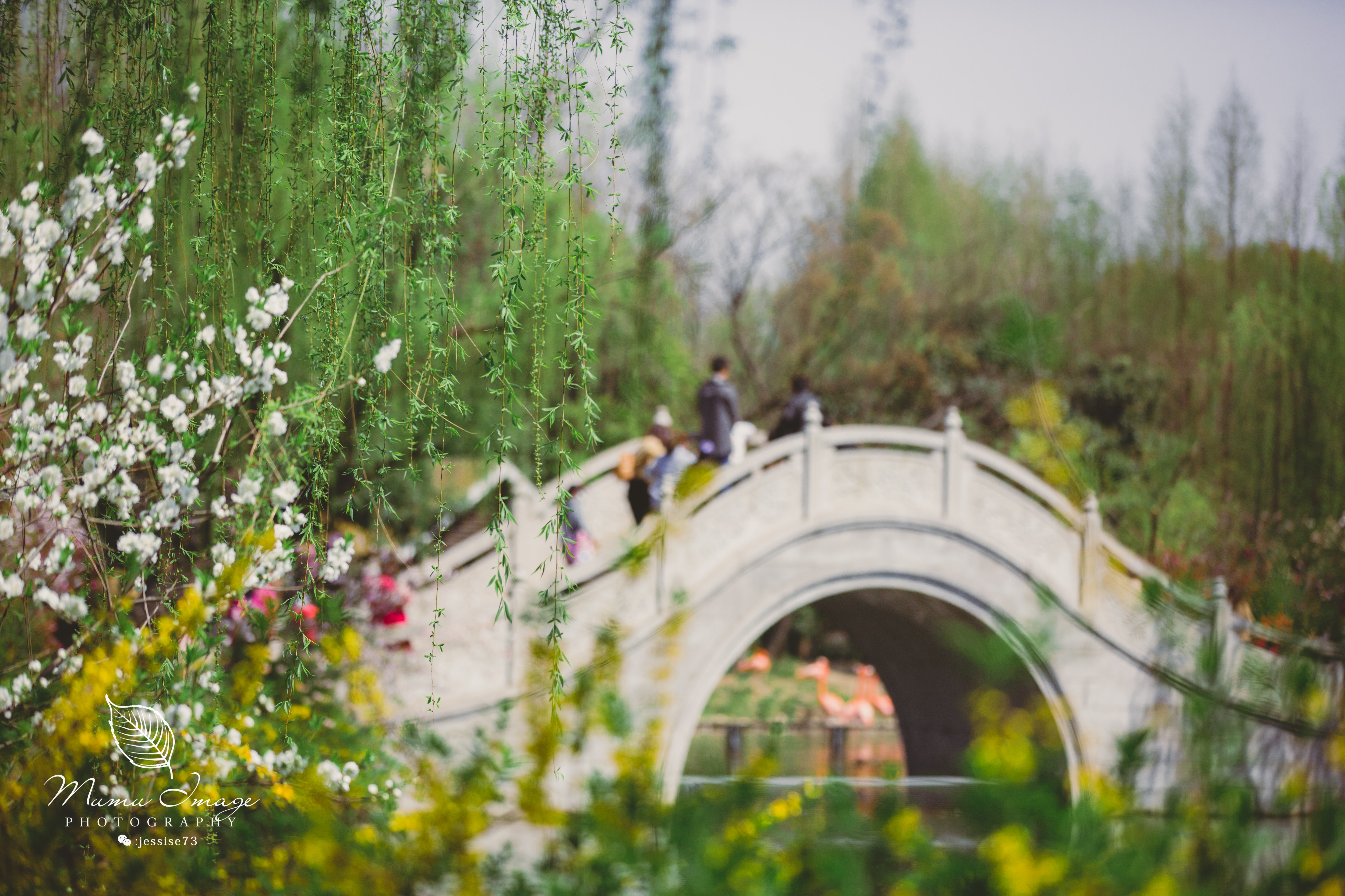 扬州是个不花钱的公园,扬州本地人最喜欢去的公园