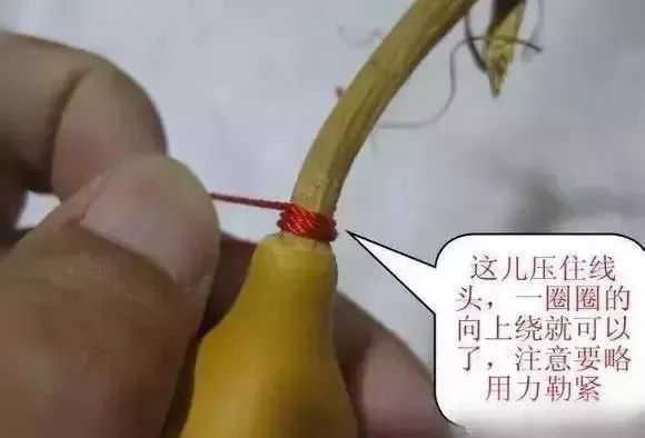 葫芦龙头断了怎么修剪,葫芦龙头怎么去掉