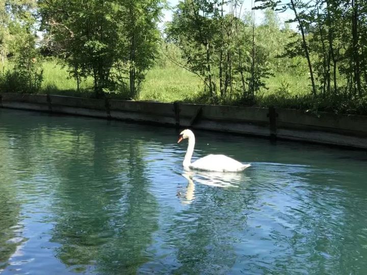 城区绿肺，WoodberryDown高性价比一居室分享