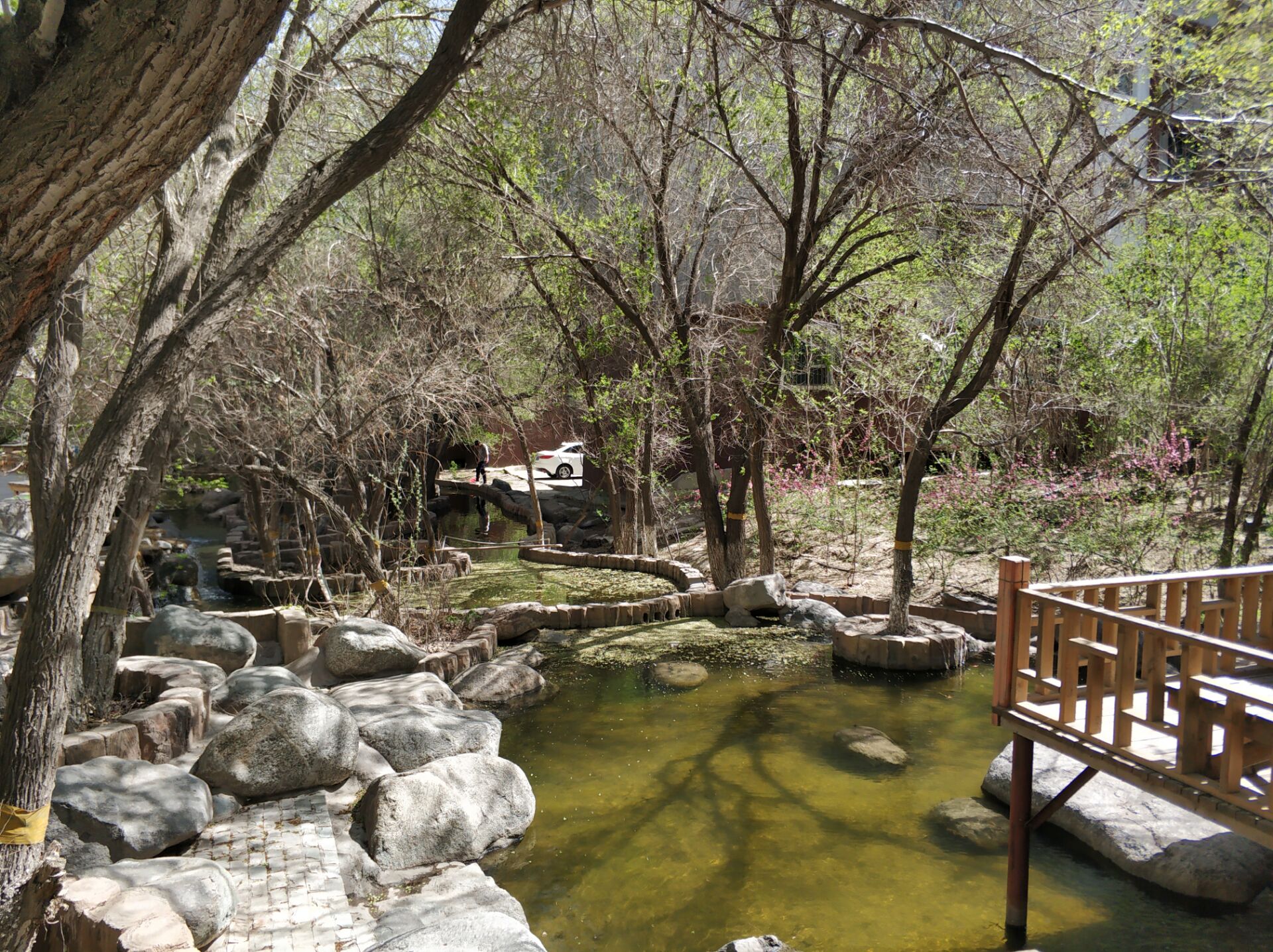 乌鲁木齐居然有这么漂亮的地方,乌鲁木齐周边森林公园在哪里