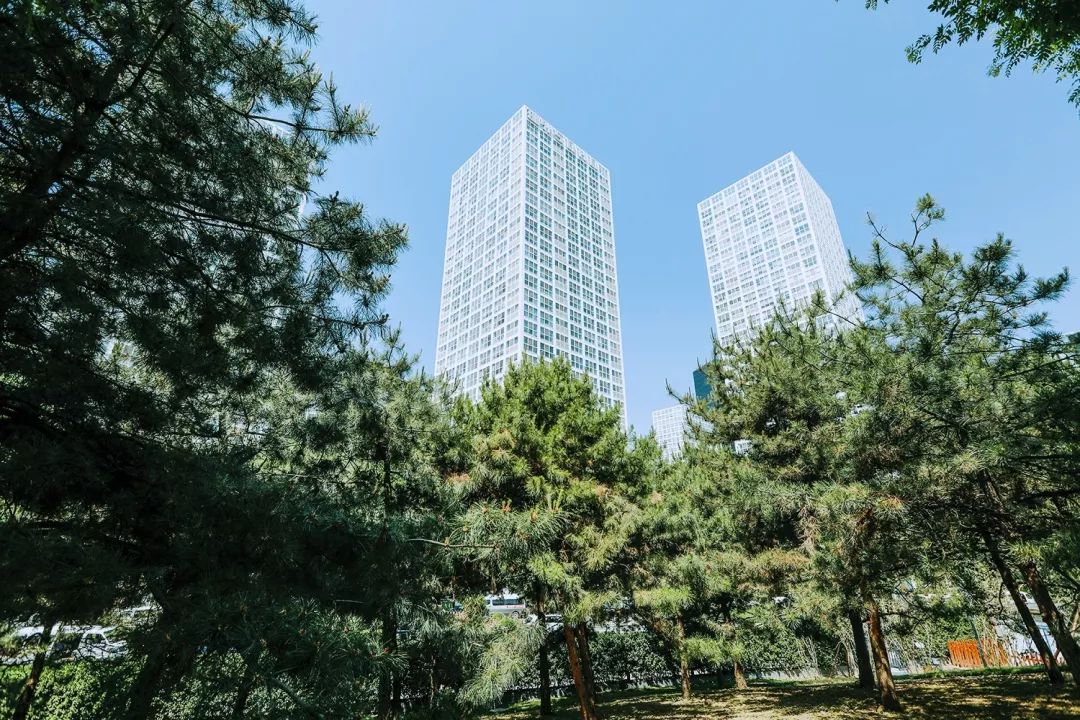 @CBD白领，来遛弯吧！2.5个足球场那么大，就在公司楼下