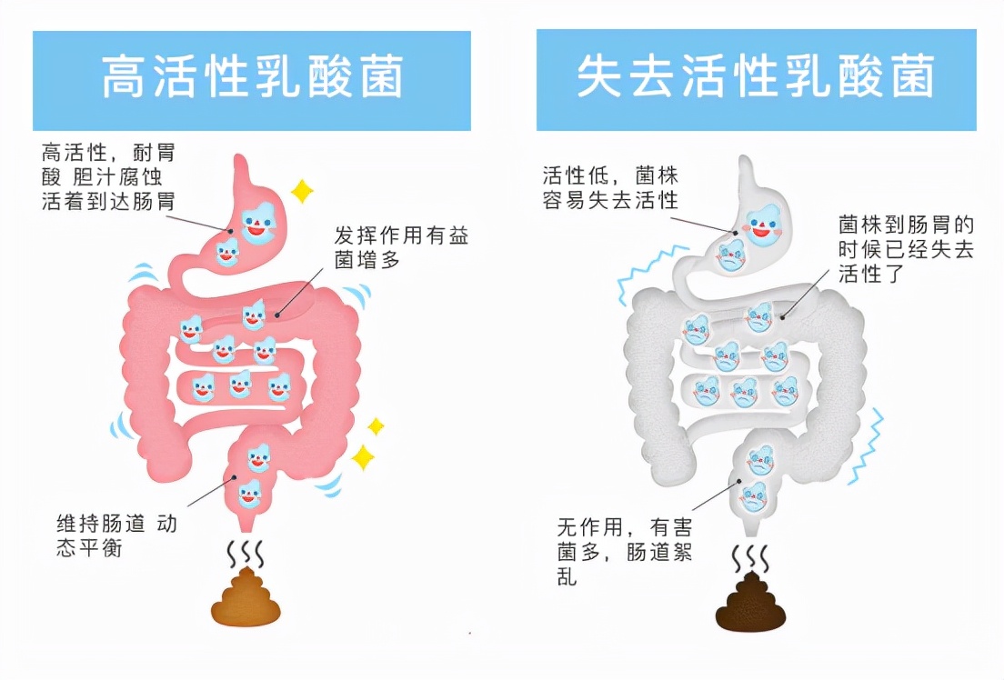 世界肠道健康日的视频,世界肠道健康日探店
