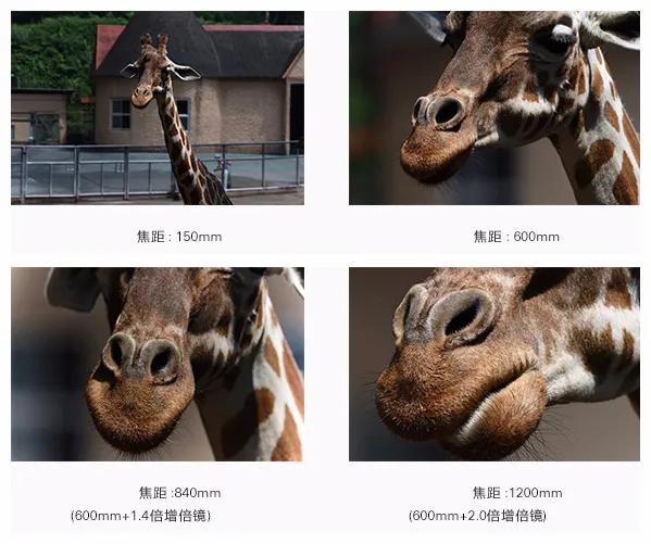 腾龙150-600g2镜头说明书没有中文,腾龙150-600g2镜头