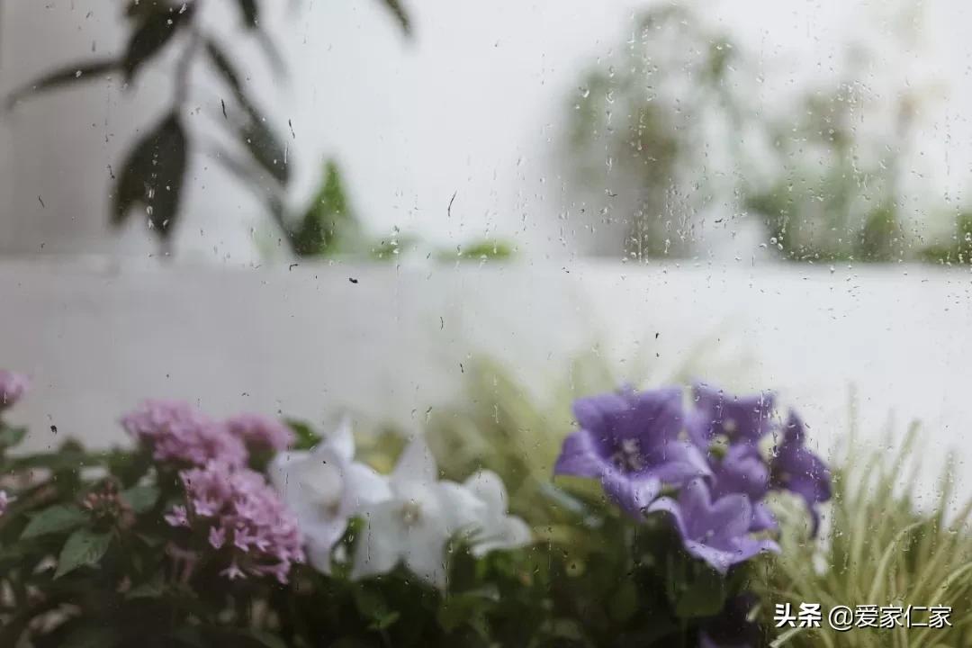 她买下32㎡上海老旧学区房，为女儿打造小桃园，20㎡超舒适大庭院