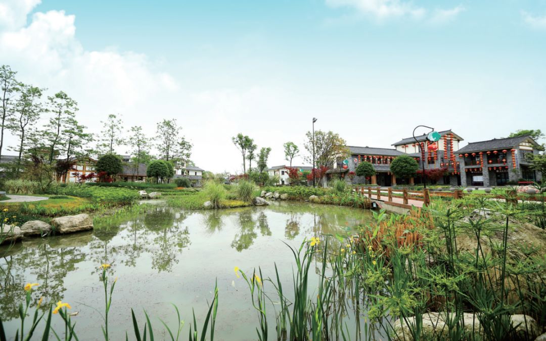 新型特色小镇,特色小镇开园活动