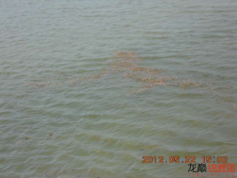 开渔场赚钱吗,开渔场需要多少资金